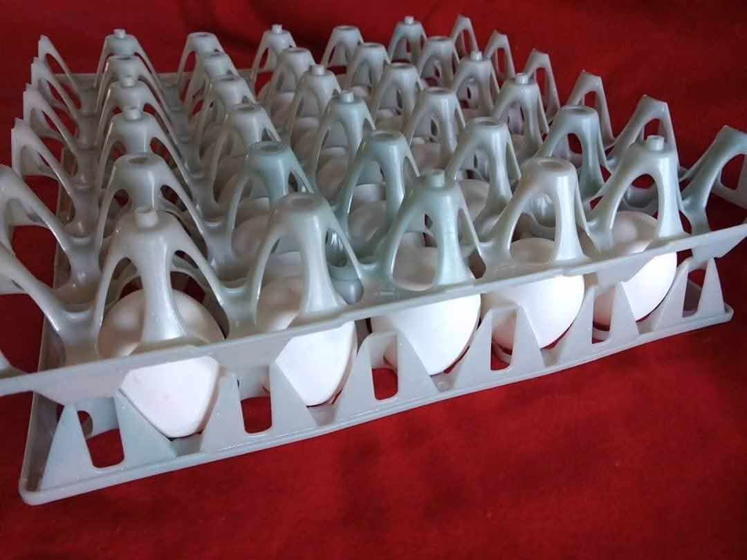 Two gray plastic trays holding multiple rows of white eggs on a red surface.