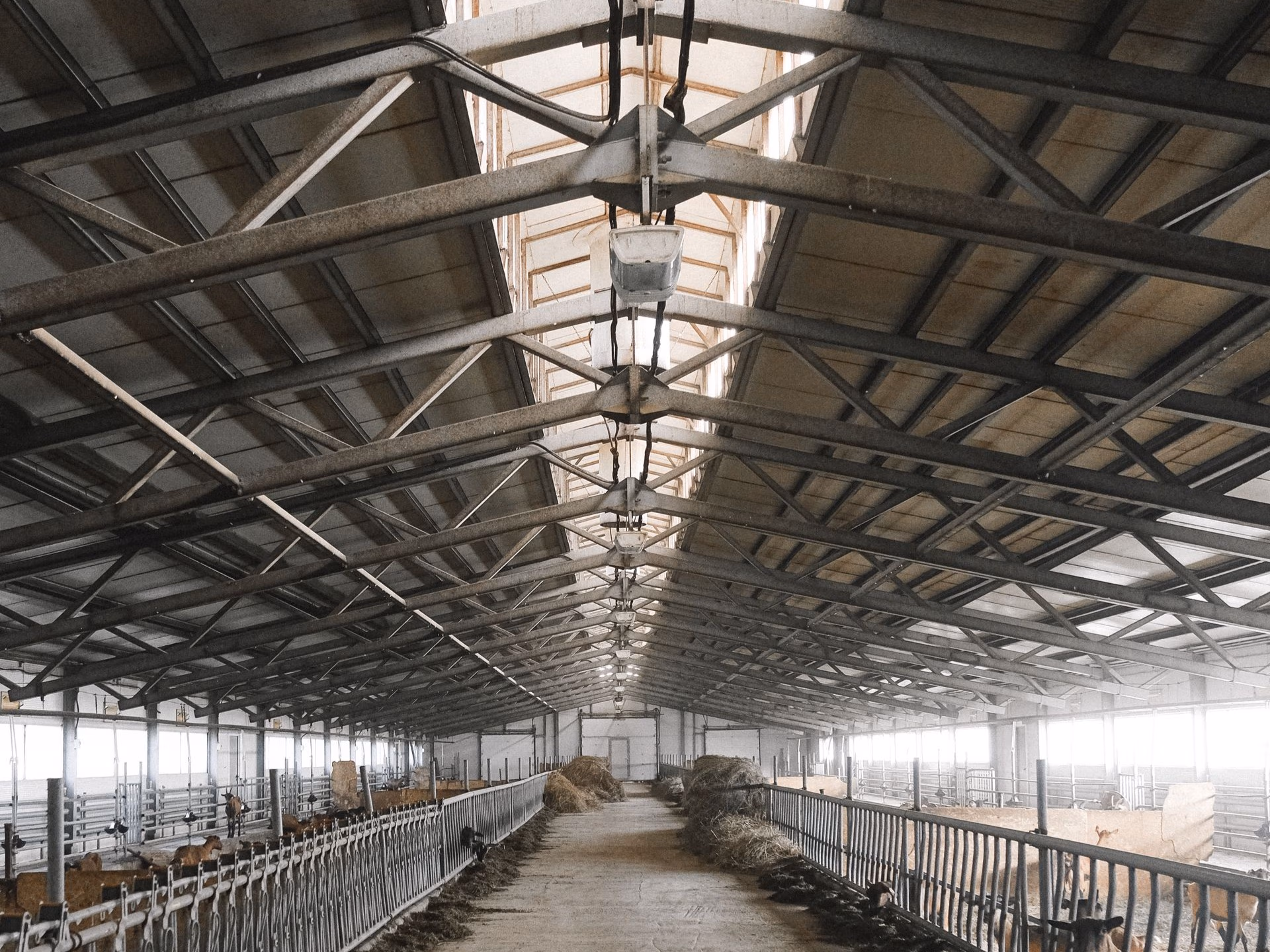 Interior of a large livestock barn with metal railings and hay bales along a central walkway.